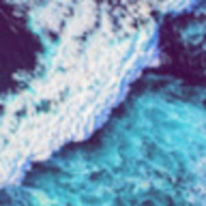 Meet your Posher, Savannah